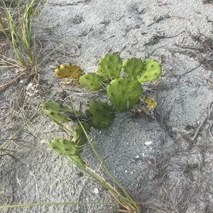 Meet your Posher, Katelyn